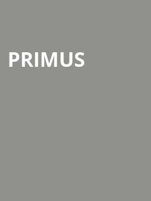 Primus, Avondale Brewing Company, Birmingham