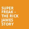 Super Freak The Rick James Story, BJCC Concert Hall, Birmingham