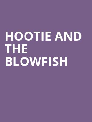 Hootie and the Blowfish, Oak Mountain Amphitheatre, Birmingham
