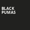 Black Pumas, Avondale Brewing Company, Birmingham